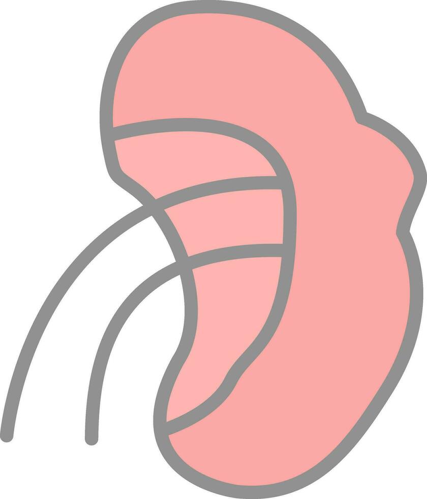 Spleen Vector Icon Design