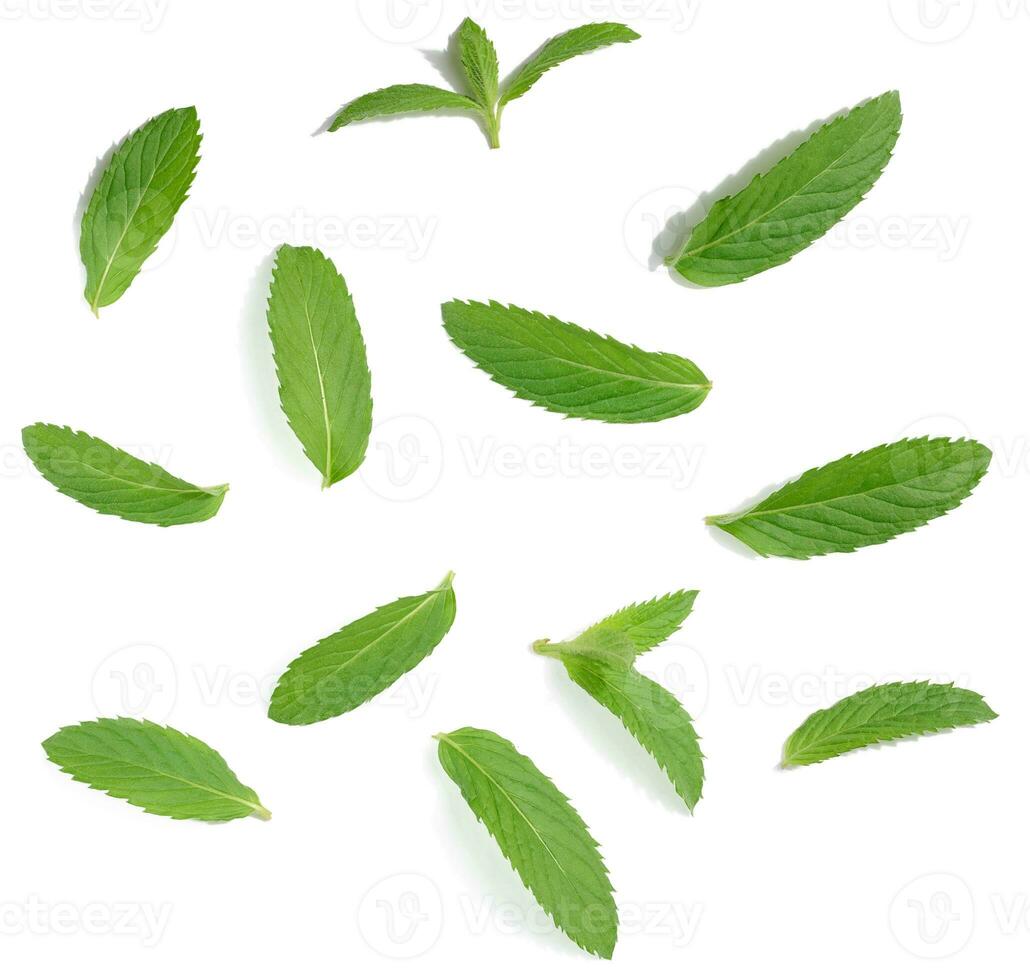 Green mint leaf on white isolated background, close up photo