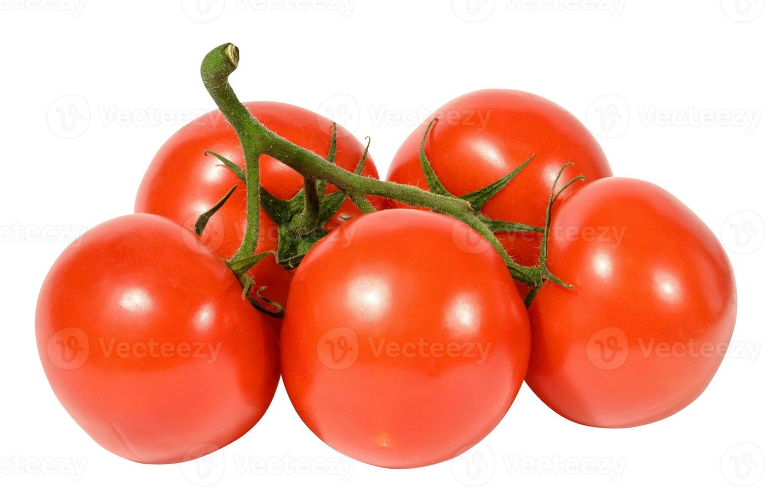 Red ripe tomatoes on a green branch on a white background, healthy vegetable photo