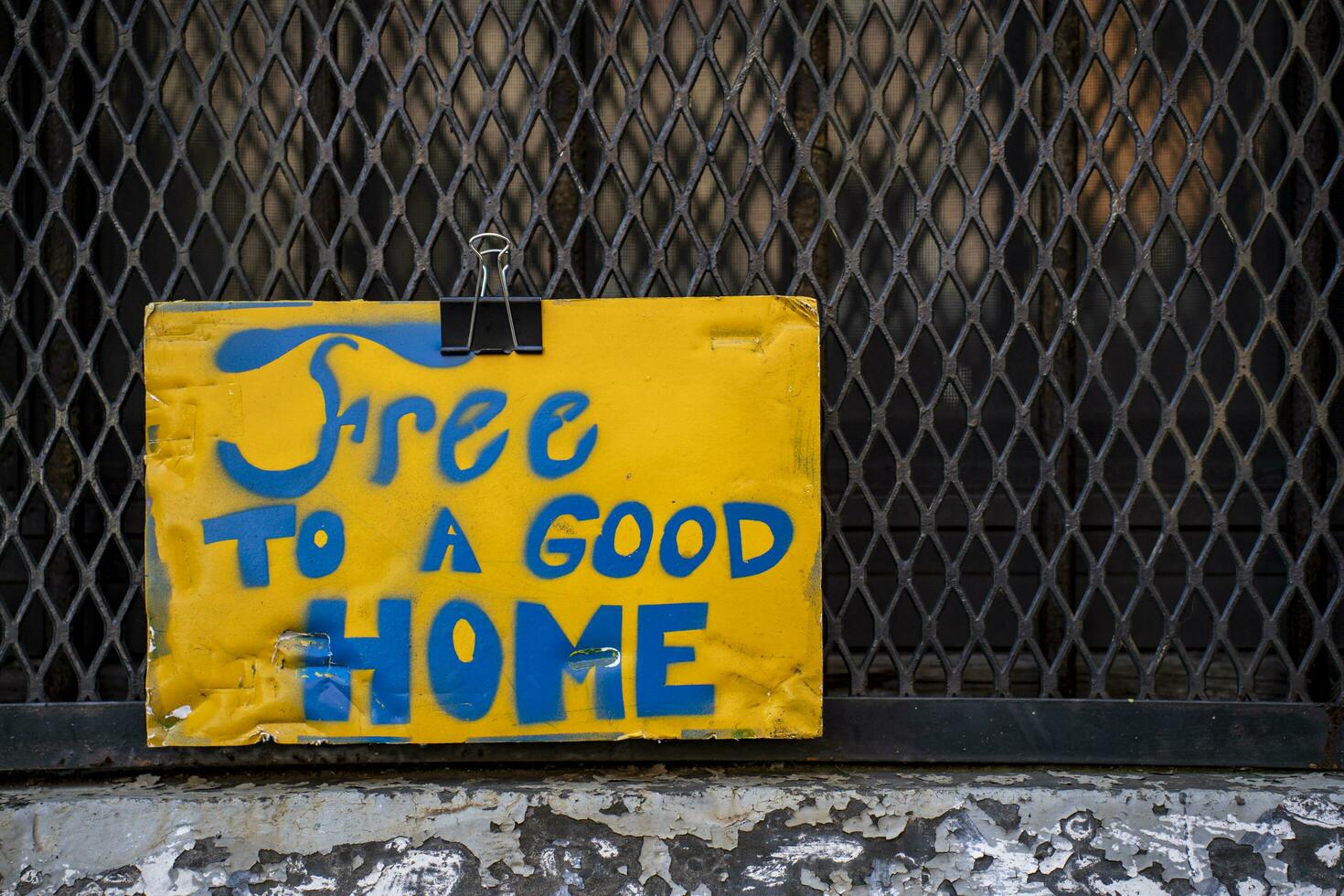 Free to a Good Home Sign in Gated Window photo