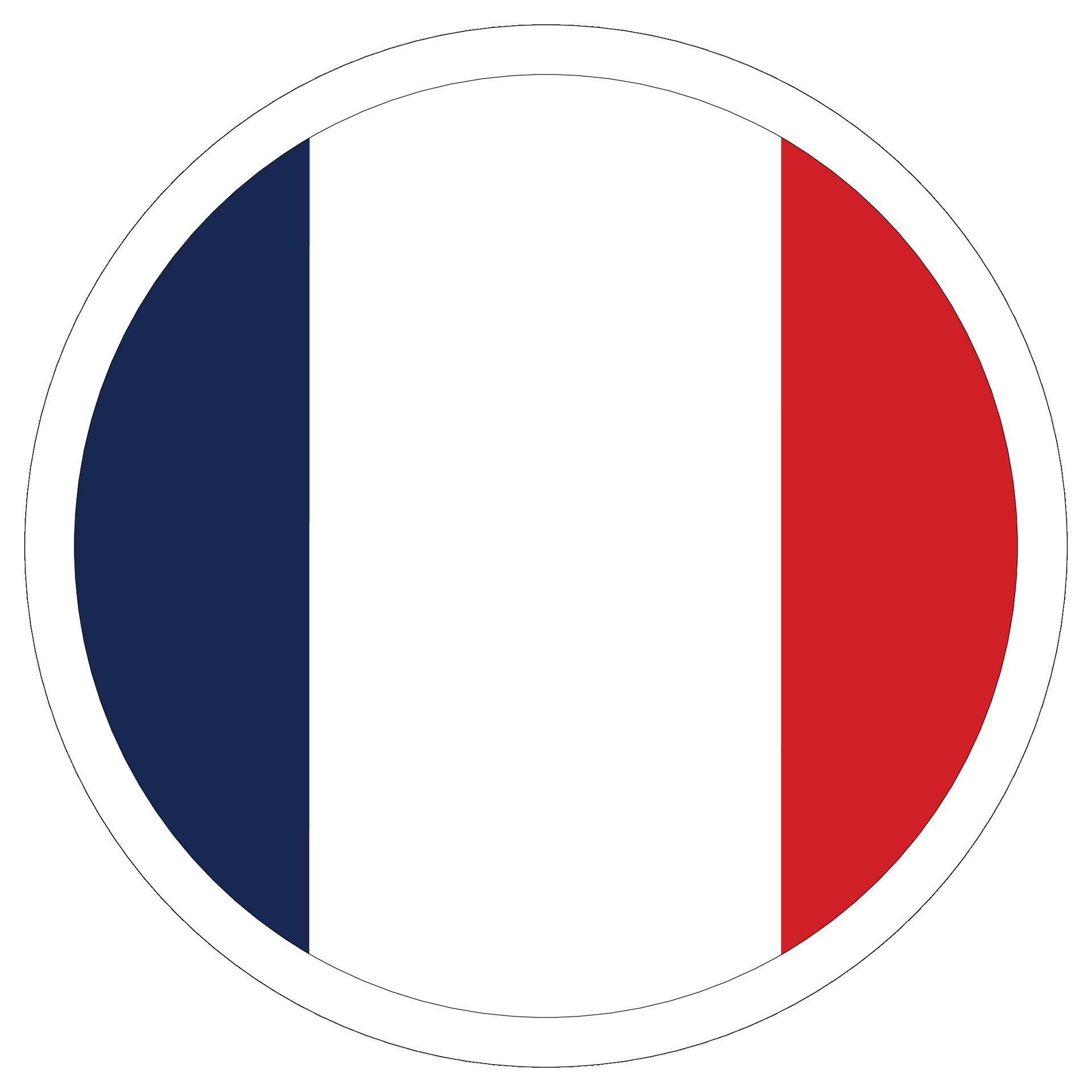 French flag in circle. Flag of France in round circle 24901745 Vector