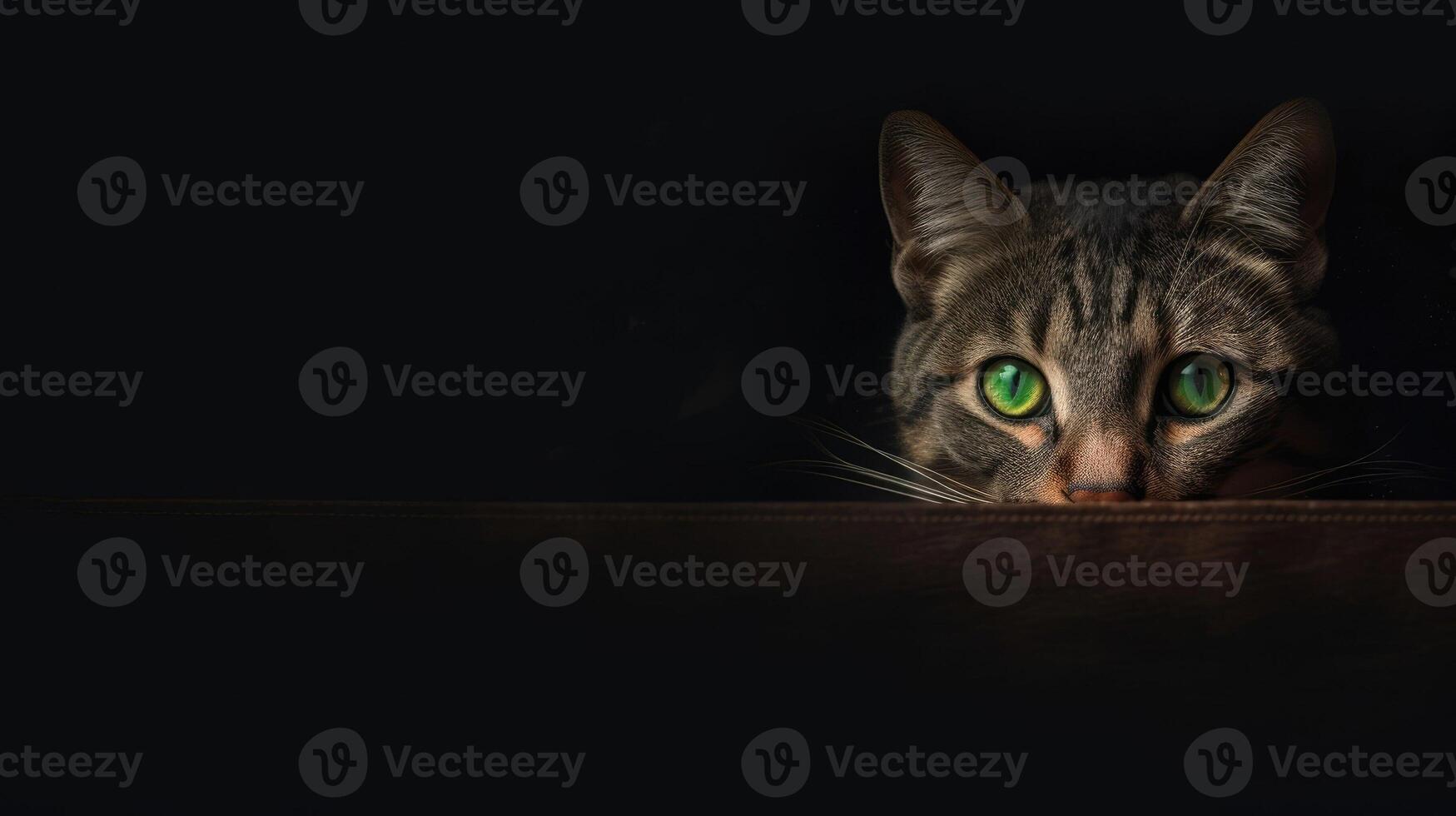 Cat isolated in a dark room with green chroma its piercing eyes glowing in the darkness evoking a sense of mystery and intrigue photo