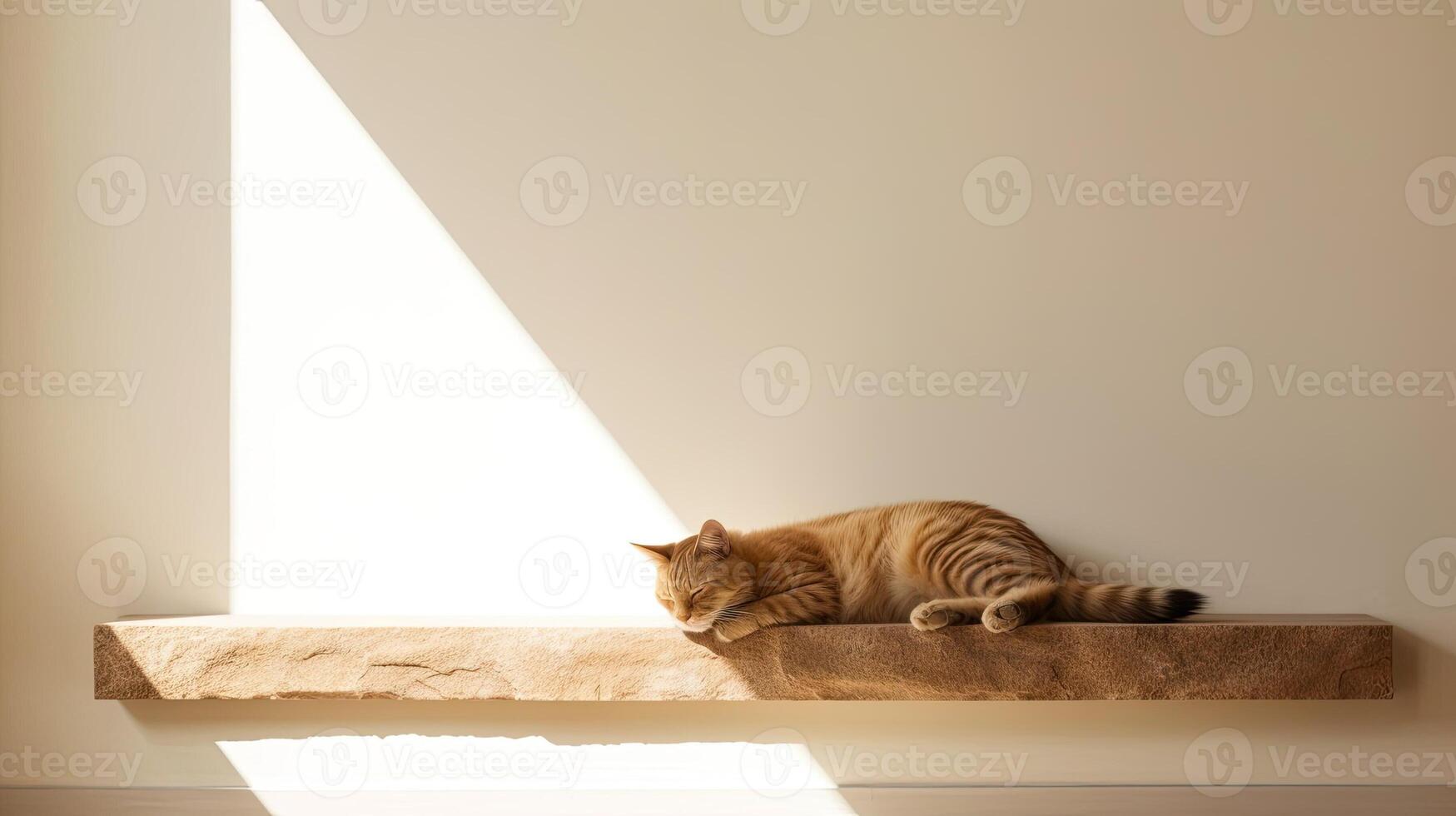 un hermosamente compuesto fotografía de un contento gato capturado utilizando el regla de tercios Perfecto como un elegante fondo de pantalla para felino entusiastas ai generado foto