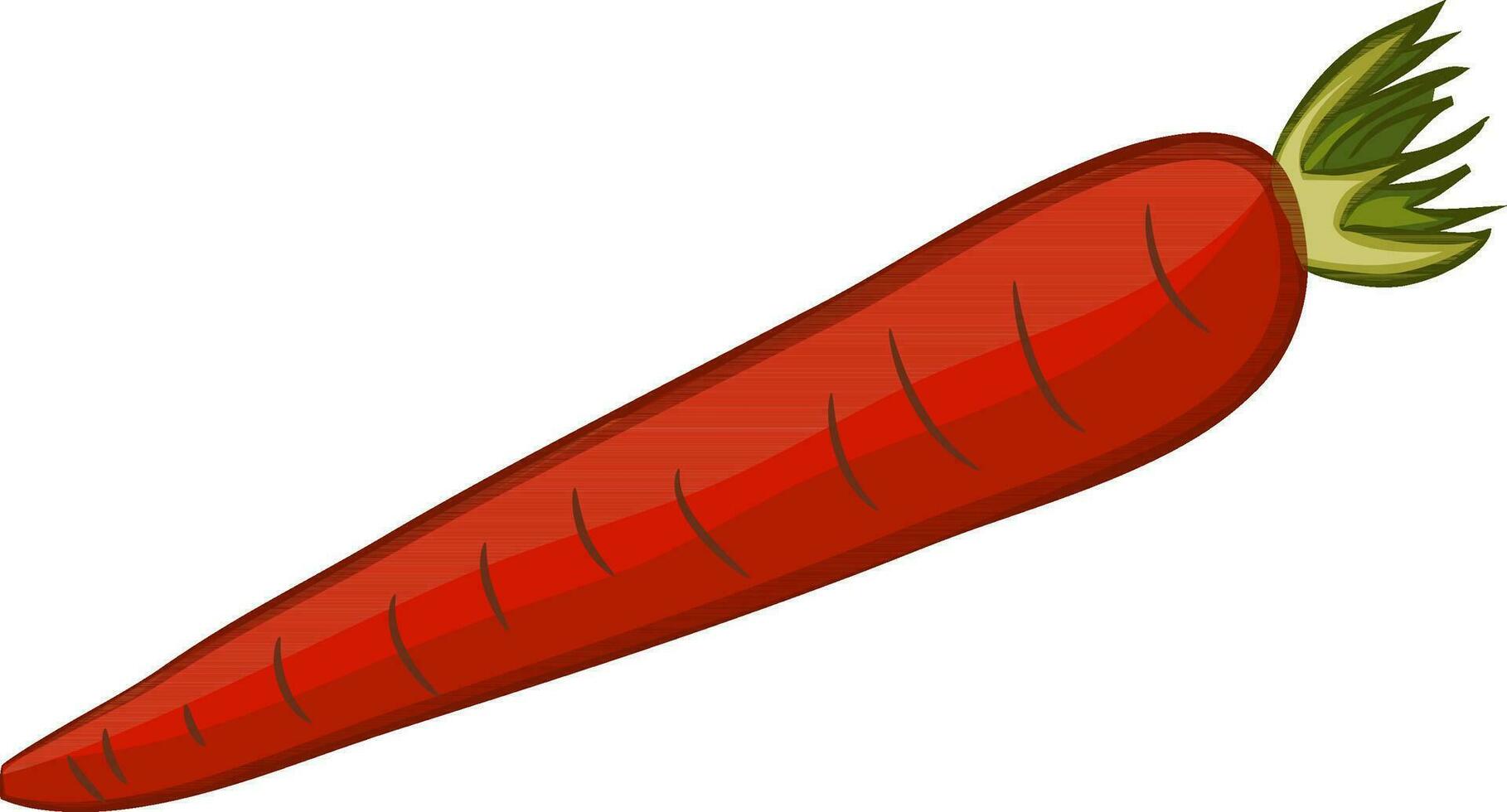 Illustration of a carrot. vector