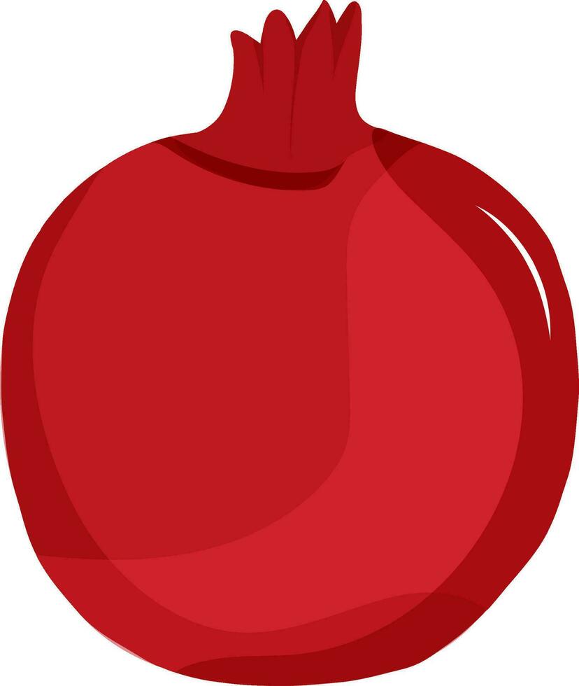 Illustration of a glossy red pomegranate. vector