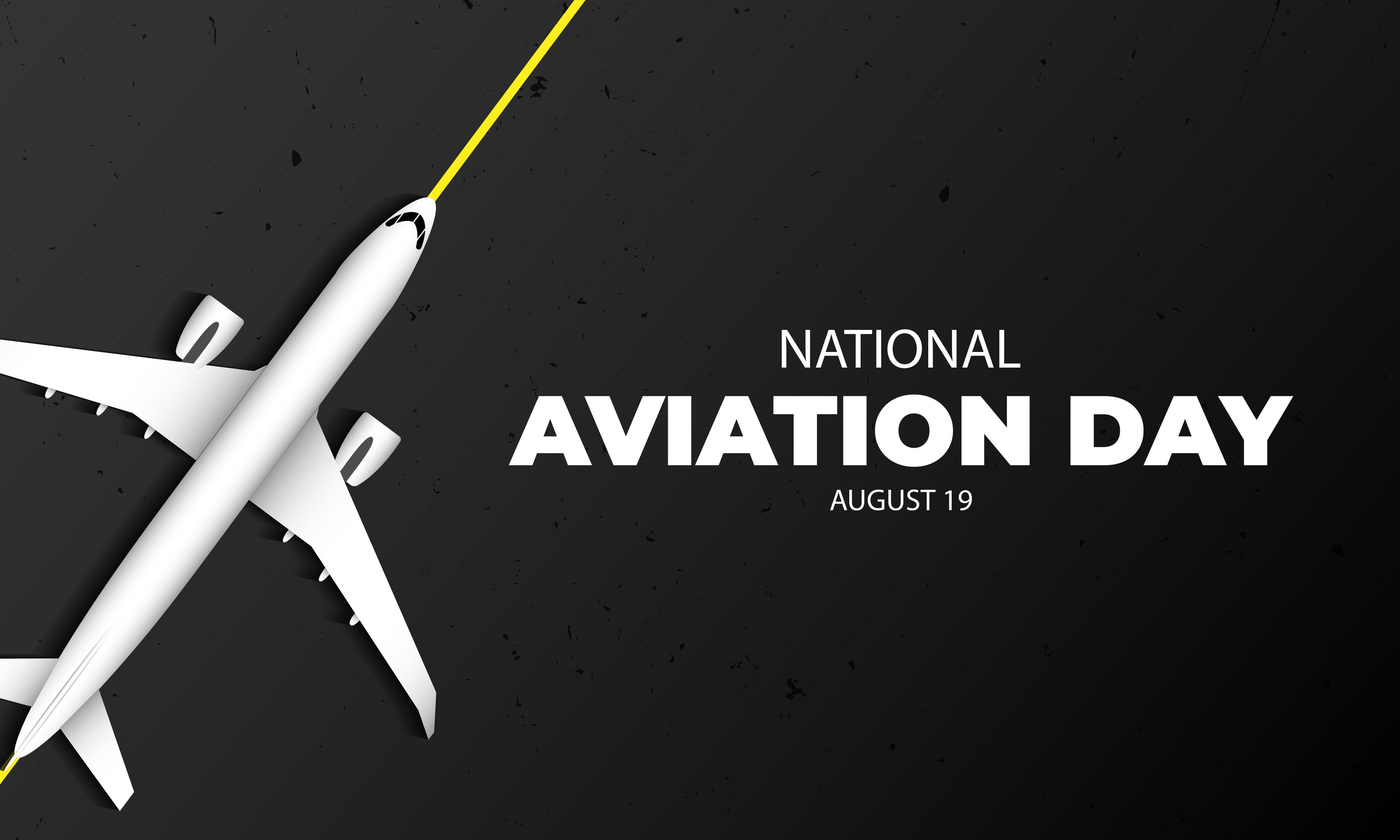 National Aviation Day August 19 Background Vector Illustration 24913310