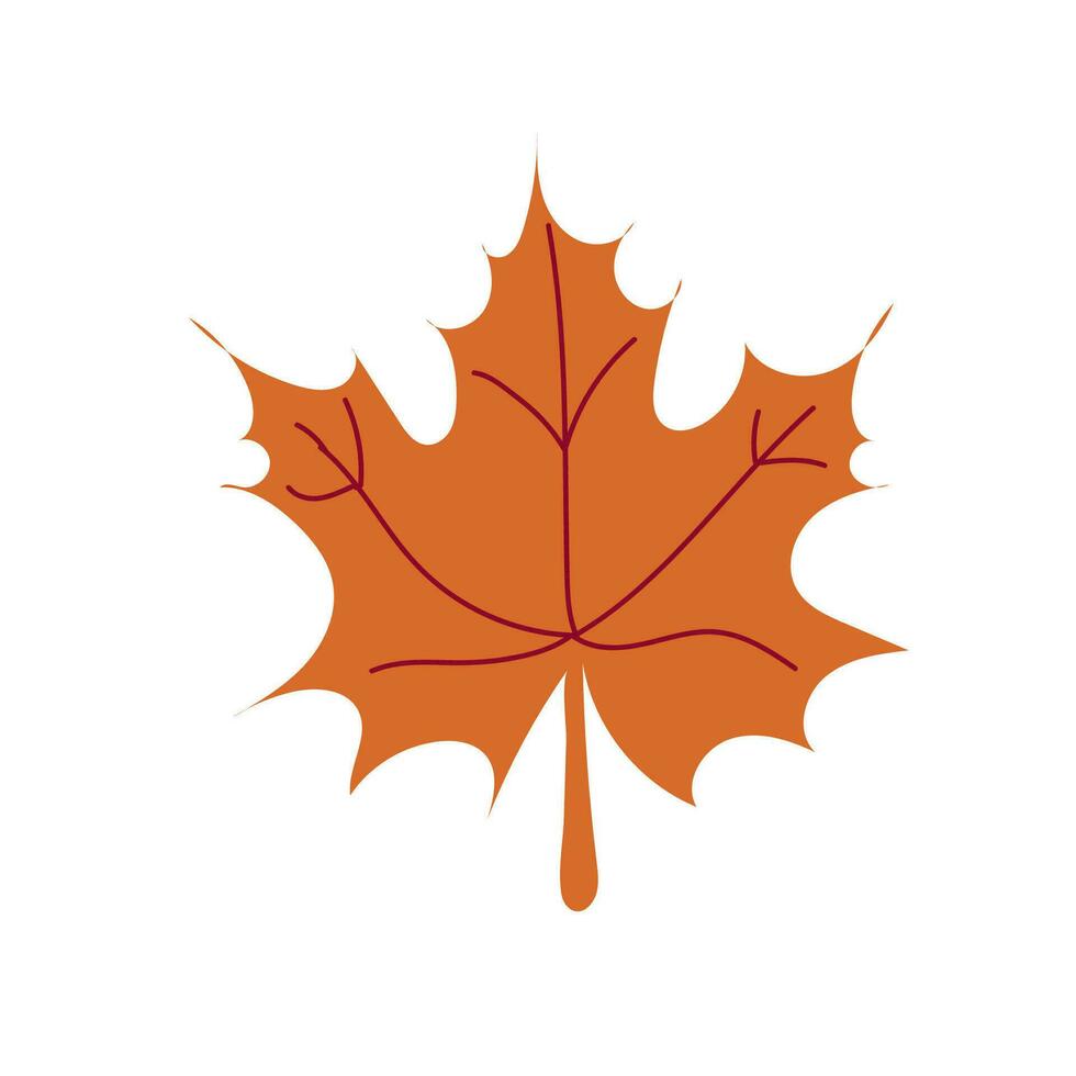 Maple leaf vintage color engraved Royalty Free Vector Image