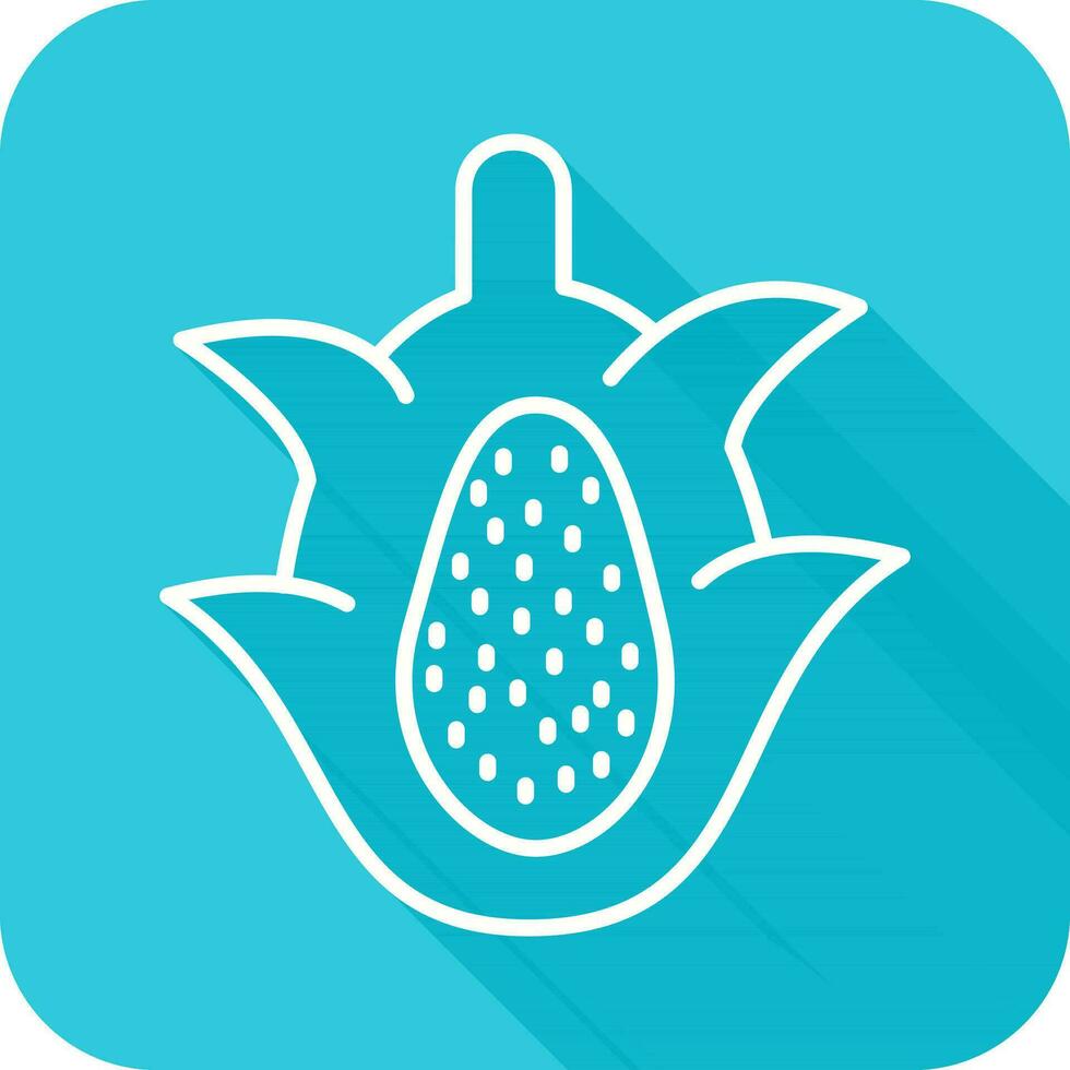 Dragon Fruit Vector Icon