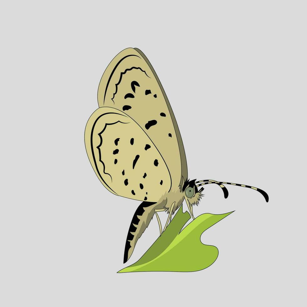 Yellow butterfly vector image