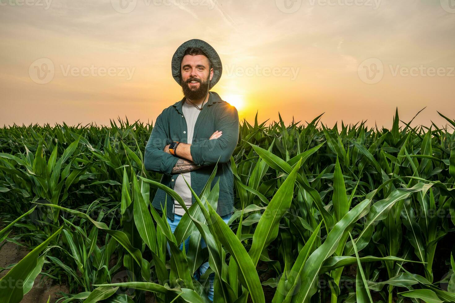 retrato de granjero quien es cultivando maíz. él es satisfecho con bueno Progreso de plantas. agrícola ocupación. foto