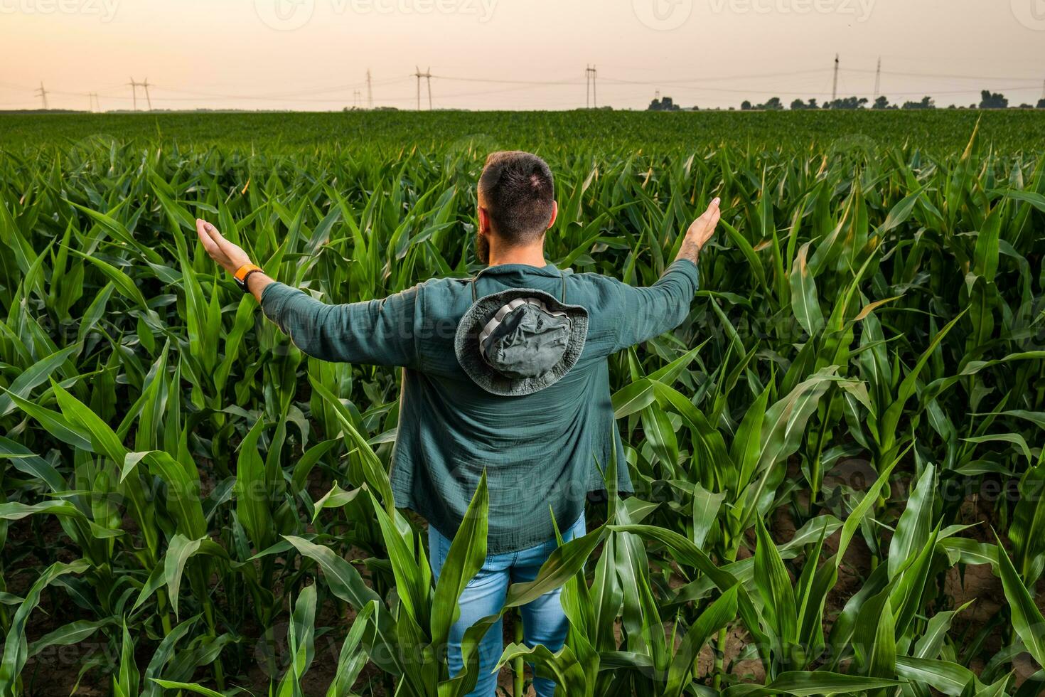 Farmer is cultivating corn. He is satisfied with good progress of plants. Agricultural occupation. photo