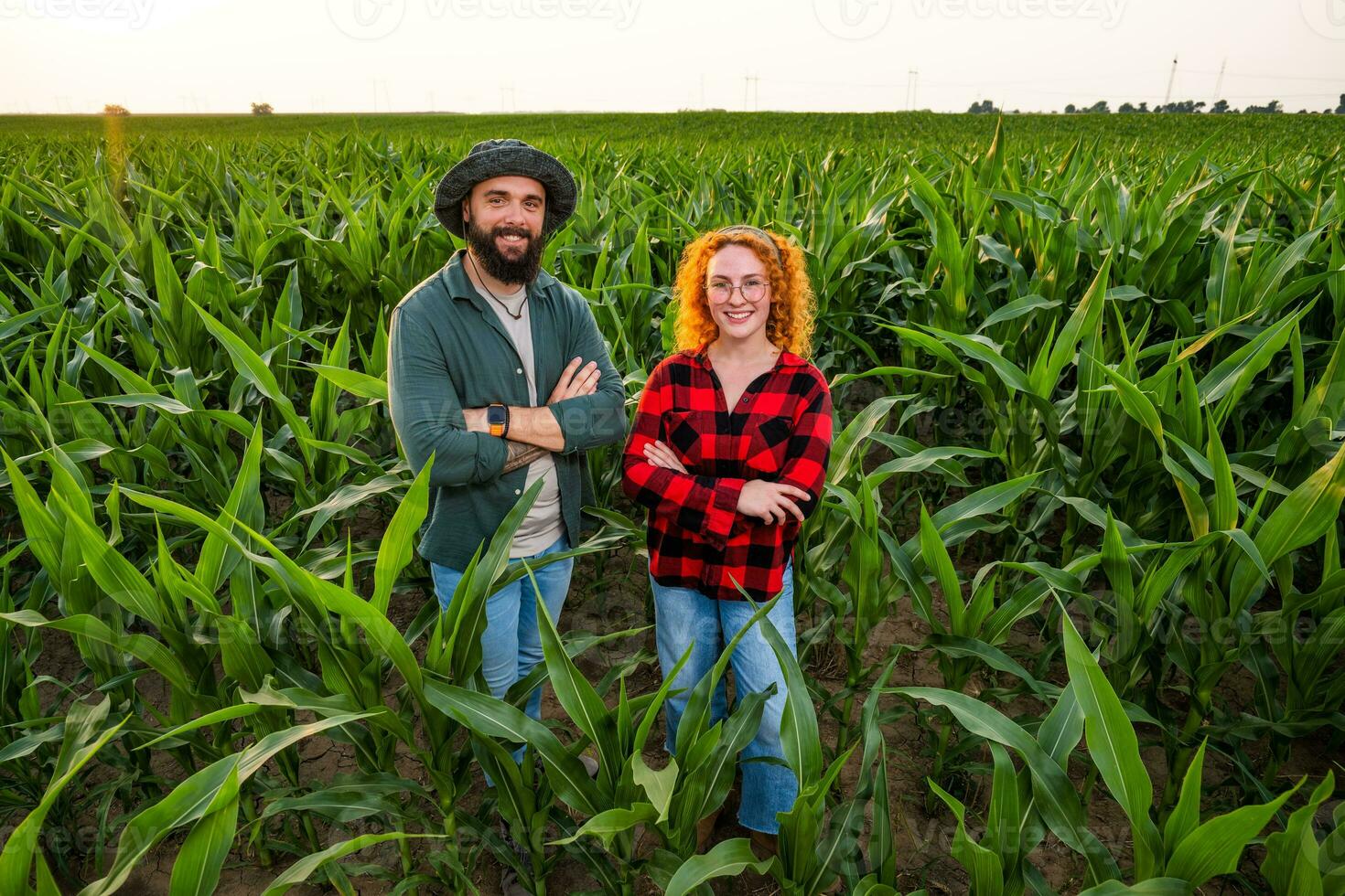 Family agricultural occupation. Man and woman are cultivating corn. They are satisfied with good progress of plants. photo