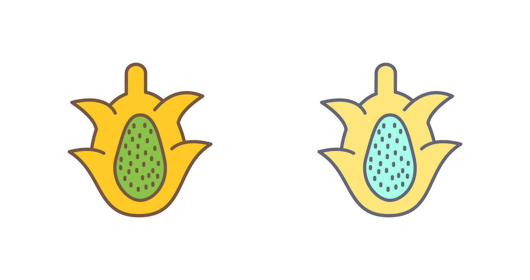 Dragon Fruit Vector Icon