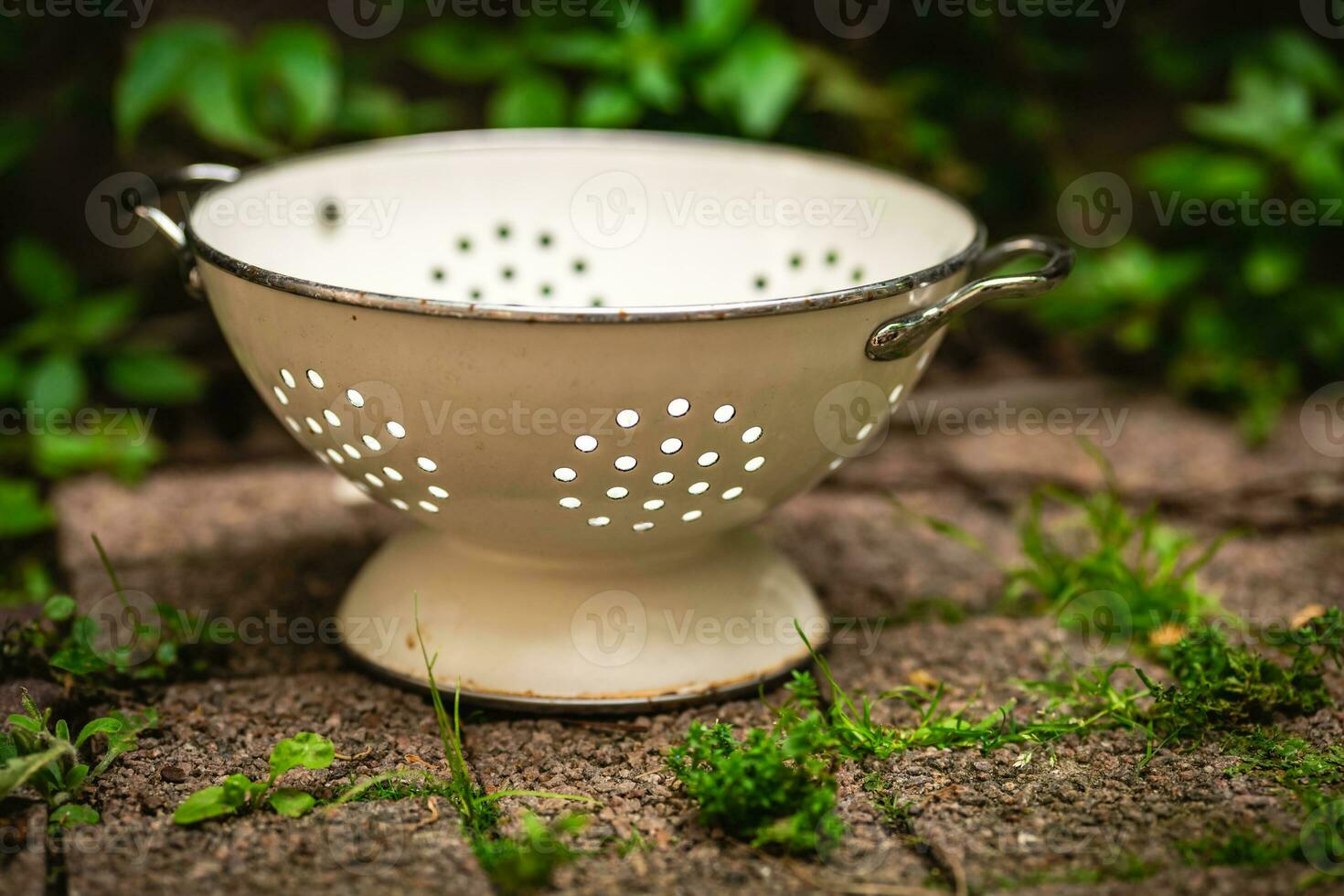 an old decorative bowl in the garden photo
