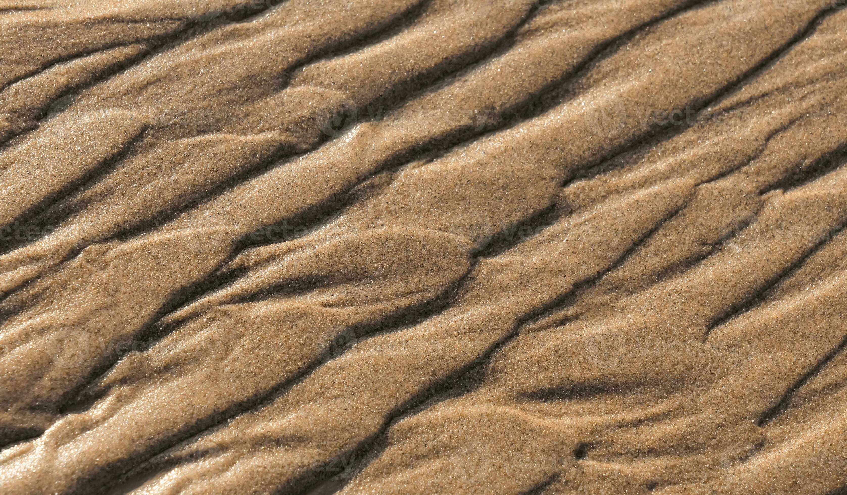 Beach sand sea water summer background. Sand beach desert texture