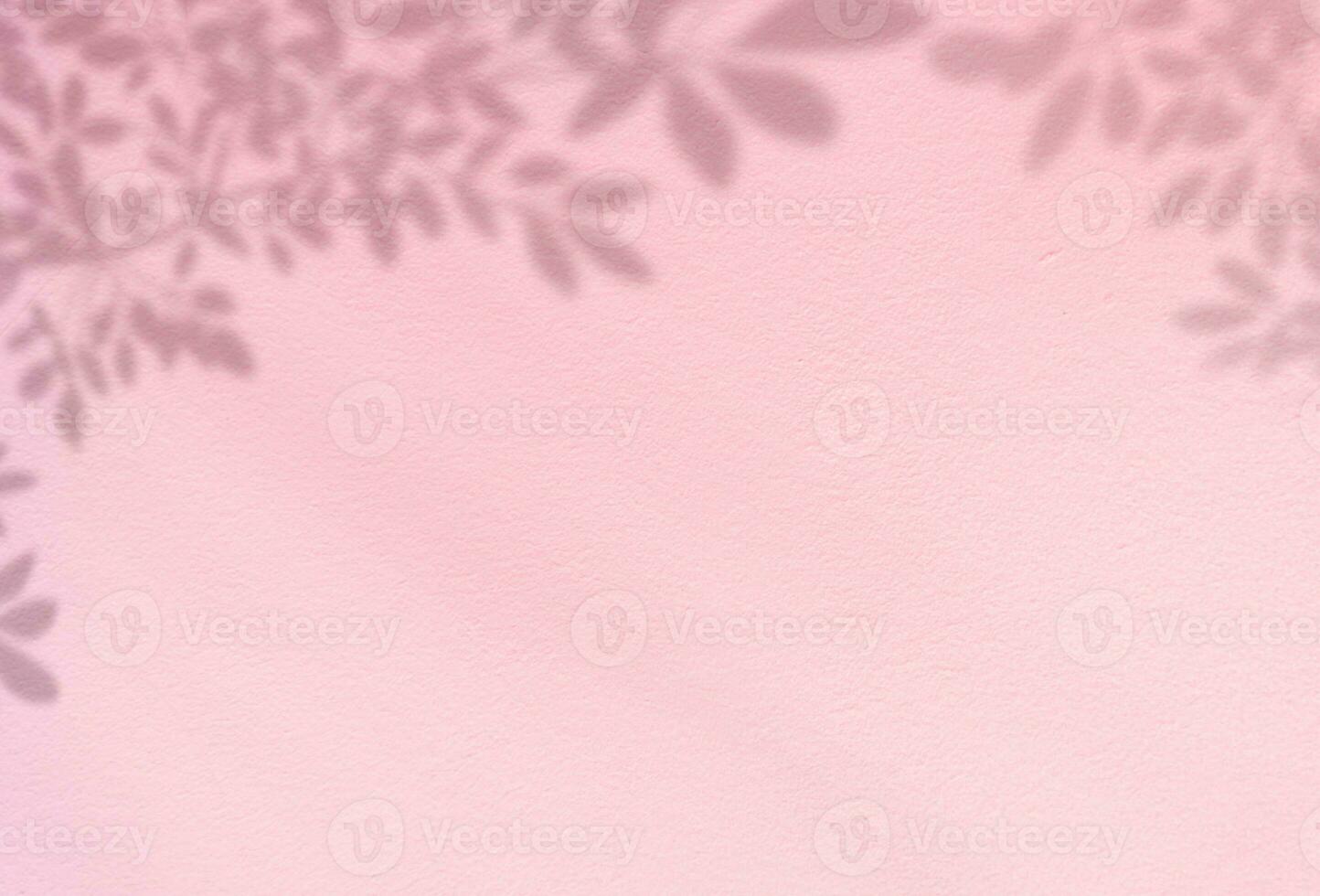 Pink Studio background with Leaves shadow on cement wall texture,Product Display room with branches leaves overlay on Pink pastel Concrete wall,Backdrop Banner for natural cosmetic  product photo