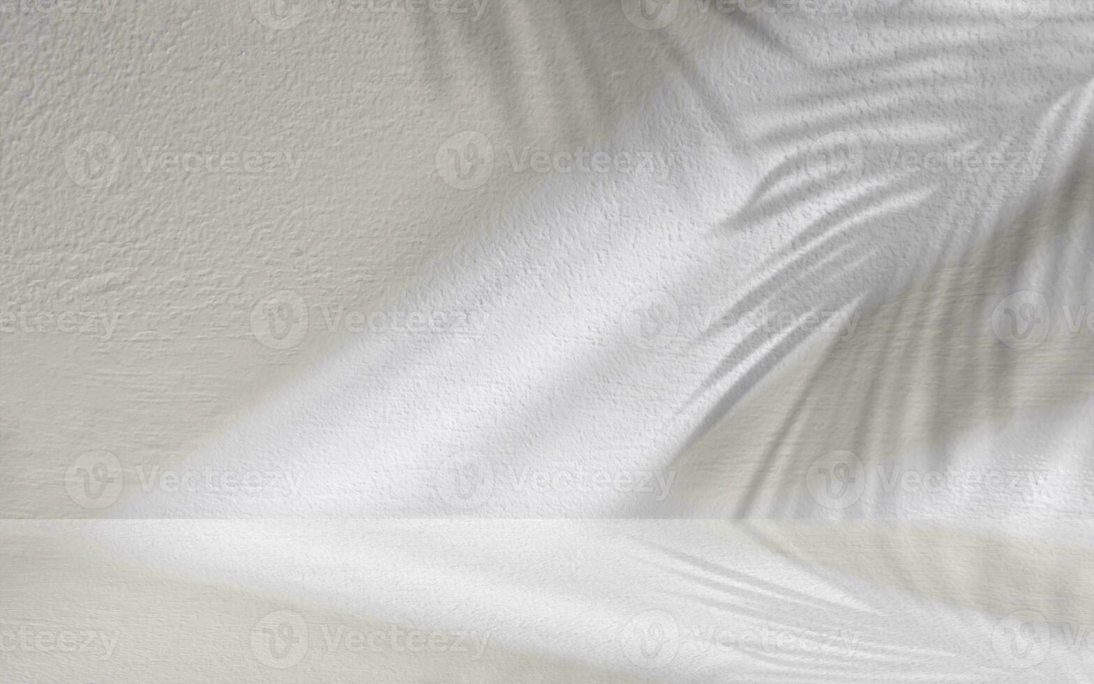 Studio background,Palm Leaves shadow with sunligh overlay on grey concrete wall background,Empty White Studio Room with abstract light on Cement floor,Backdrop display for product presentation photo