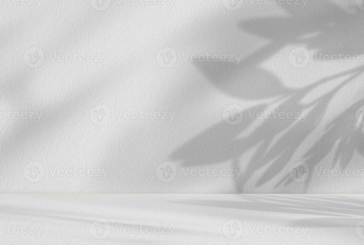 Studio background,Leaves shadow with sunbeam reflection on grey concrete wall background,Empty White Studio Room with abstract light on Cement floor,Backdrop display for product presentation photo