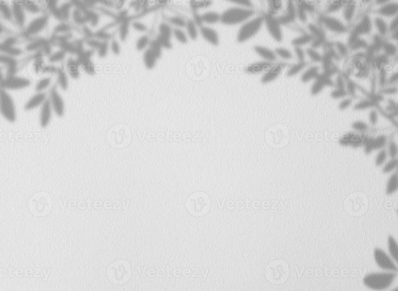 Leaves shadow overlay on grey cement wall texture background,Empty White Studio Sbackground with tropical branches leaves on concrete surface floor,Backdrop display for product presentation photo