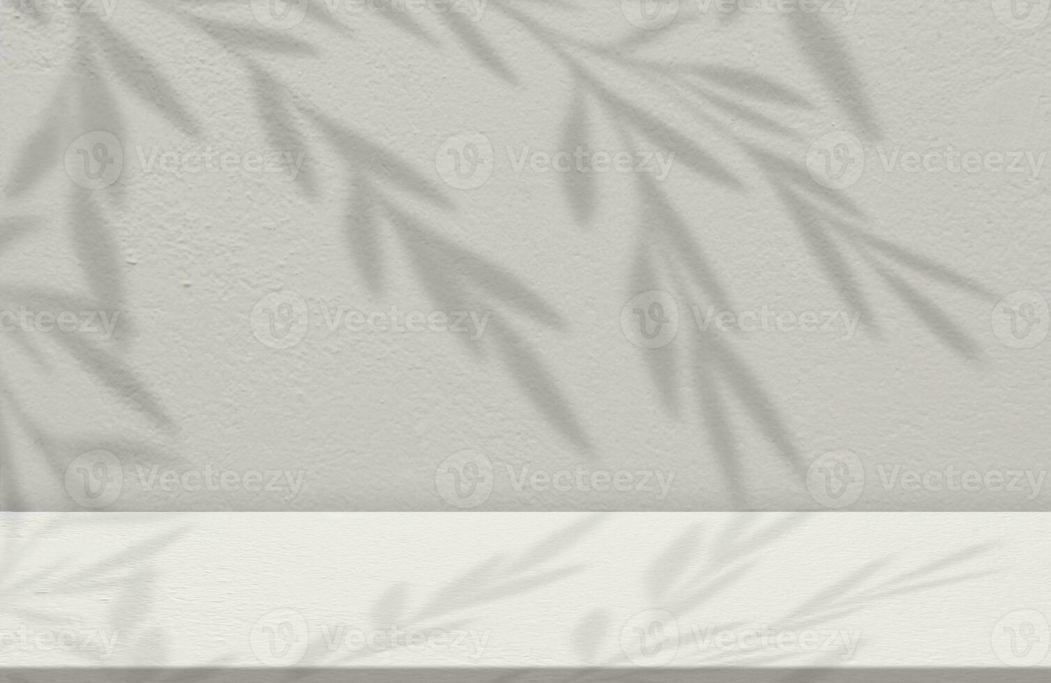 Studio background,Leaves shadow with sunbeam reflection on grey concrete wall background,Empty White Studio Room with abstract light on Cement floor,Backdrop display for product presentation photo