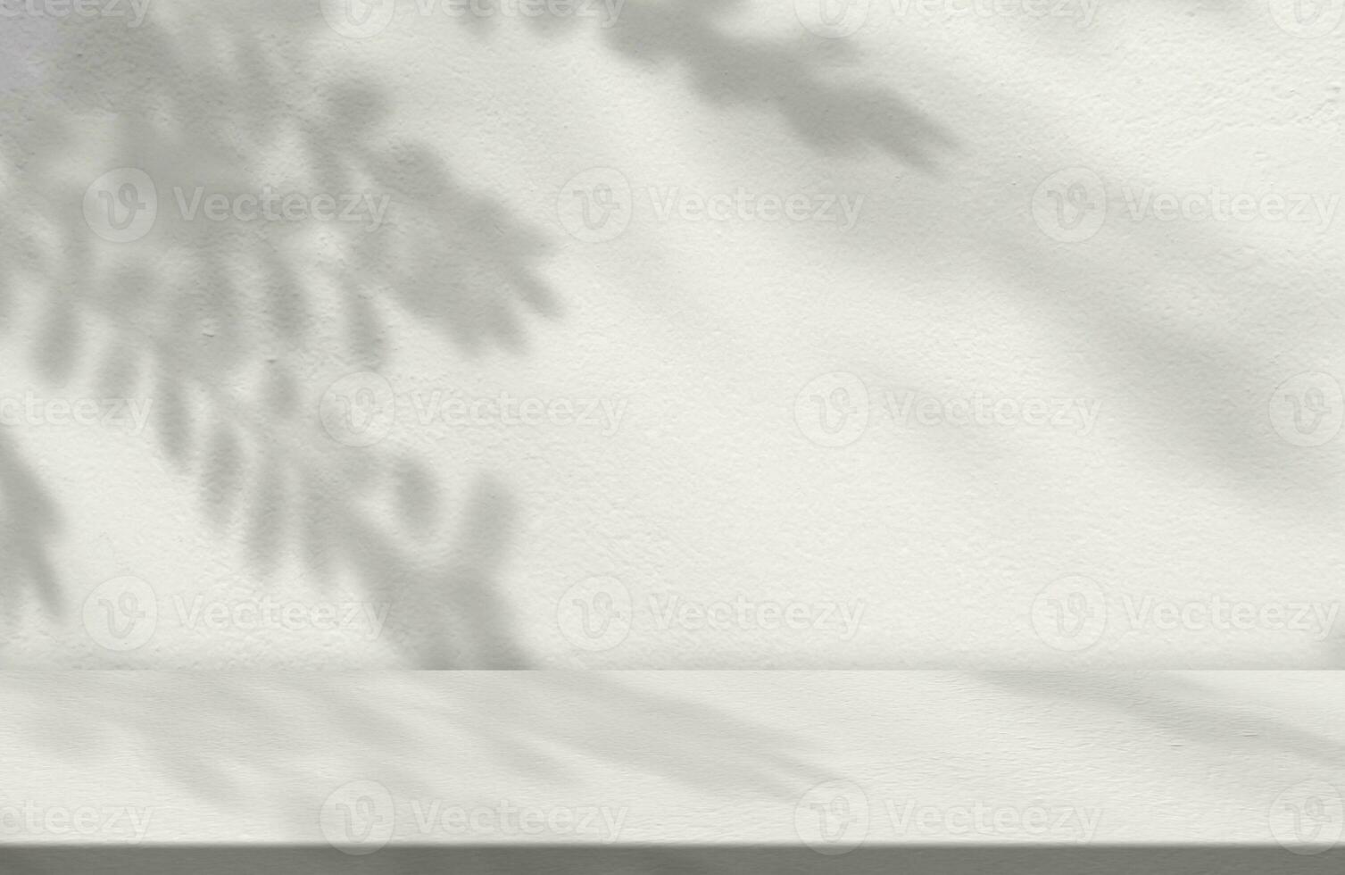 Concrete Wall Texture with Leaves Shadow Overlay on White Background,Empty Grey Studio background with Sunbeam on floor,Backdrop Banner for Cosmetic Product Display,Mockup Beauty Presentation photo