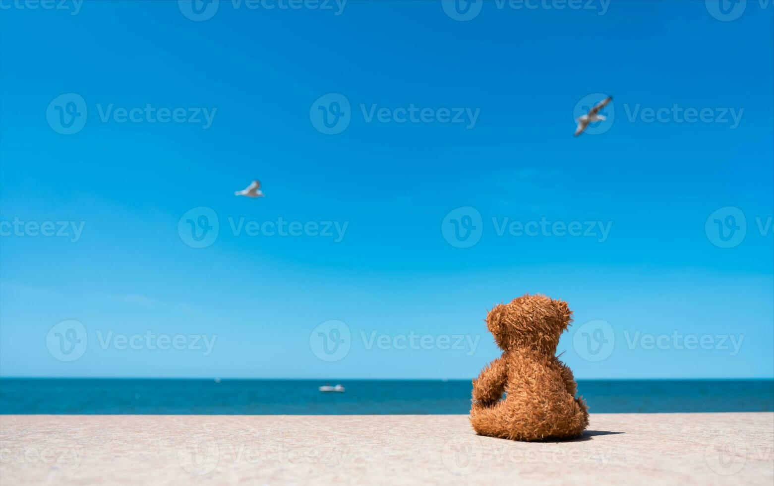Rear view Lonely Teddy bear doll sitting alone by the beach with blue sea and sky background.Rae view  Brown bear toy sitting alone watching at ocean with blurry birds flying on sky.Loneliness concept photo