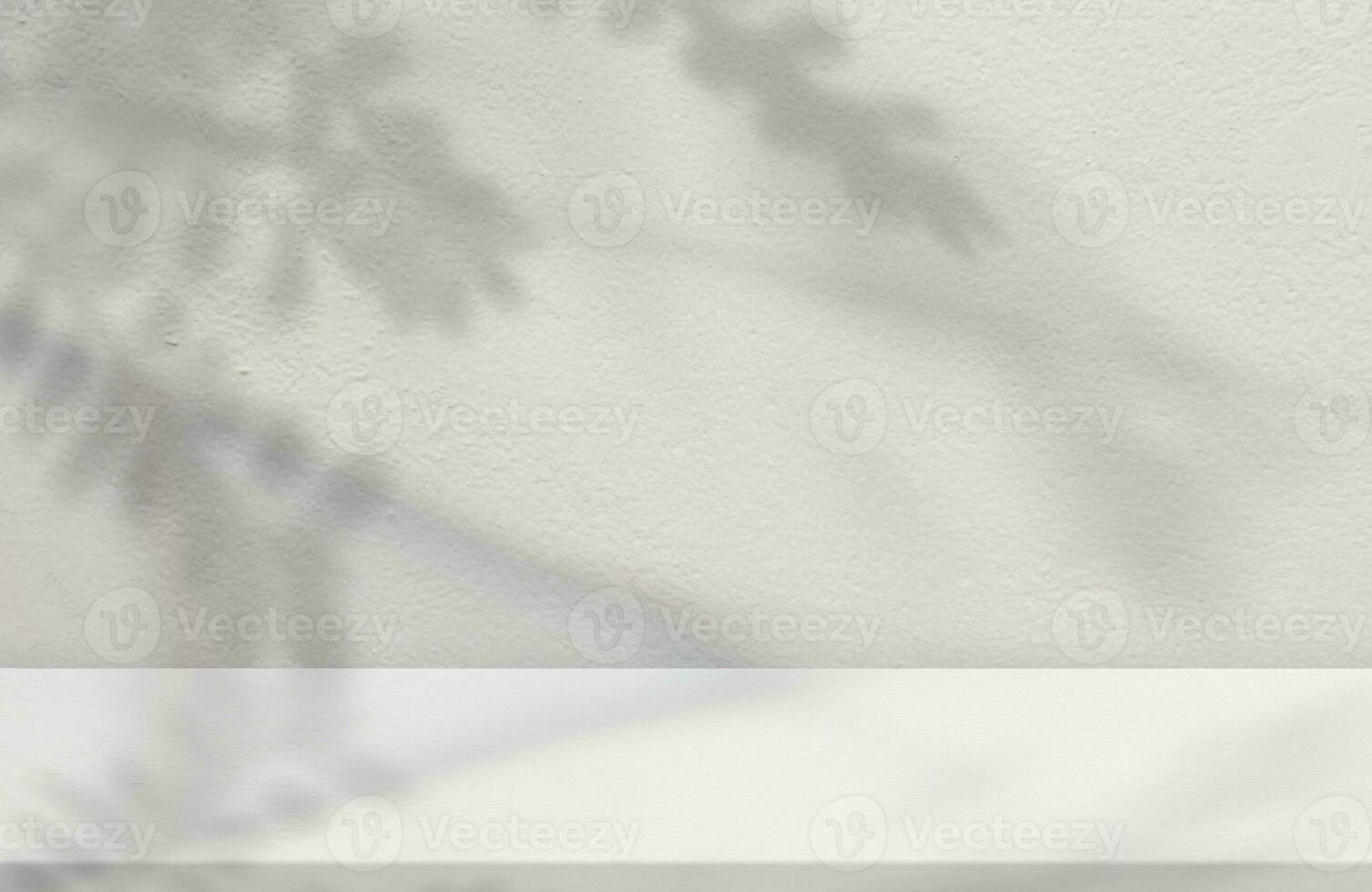 Studio background,Leaves shadow with sunbeam reflection on grey concrete wall background,Empty White Studio Room with abstract light on Cement floor,Backdrop display for product presentation photo