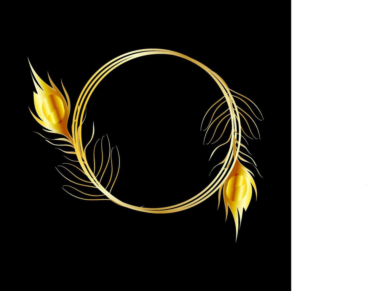 Black background for circular frame is decorate with feather. vector