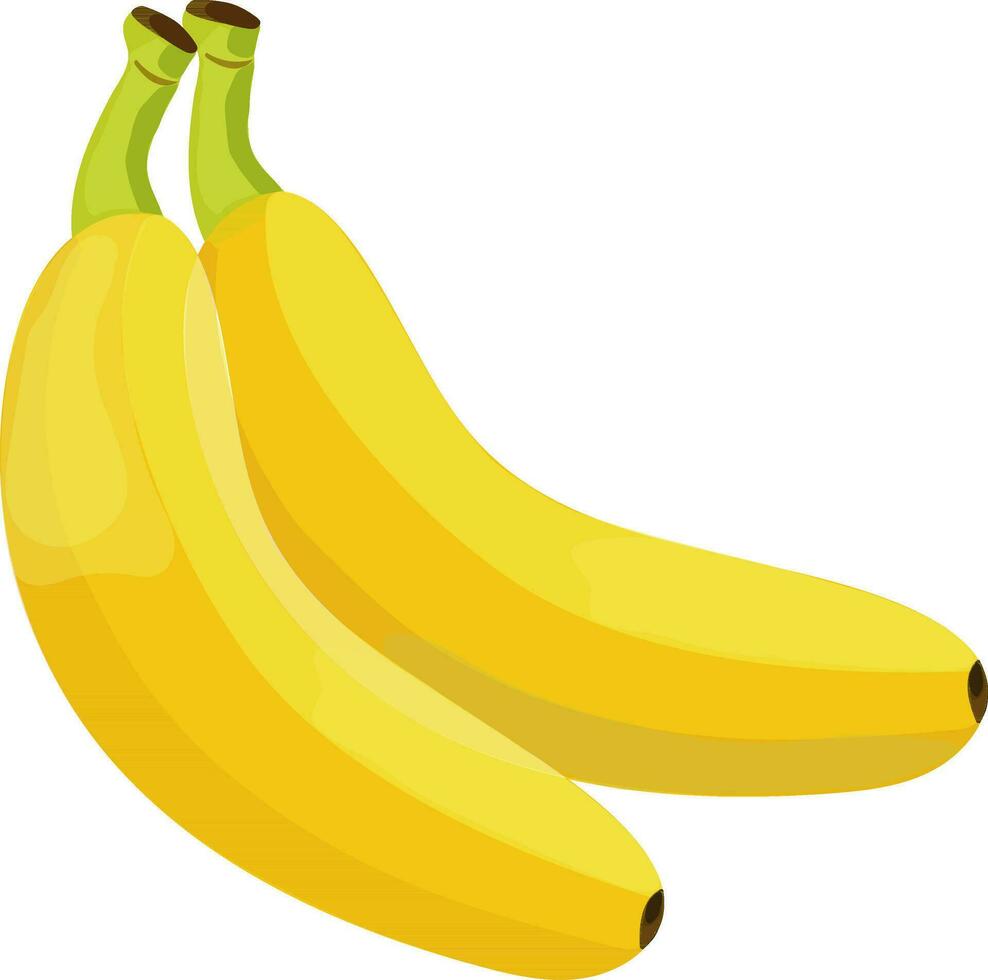 ilustración de dos Fresco banana. vector