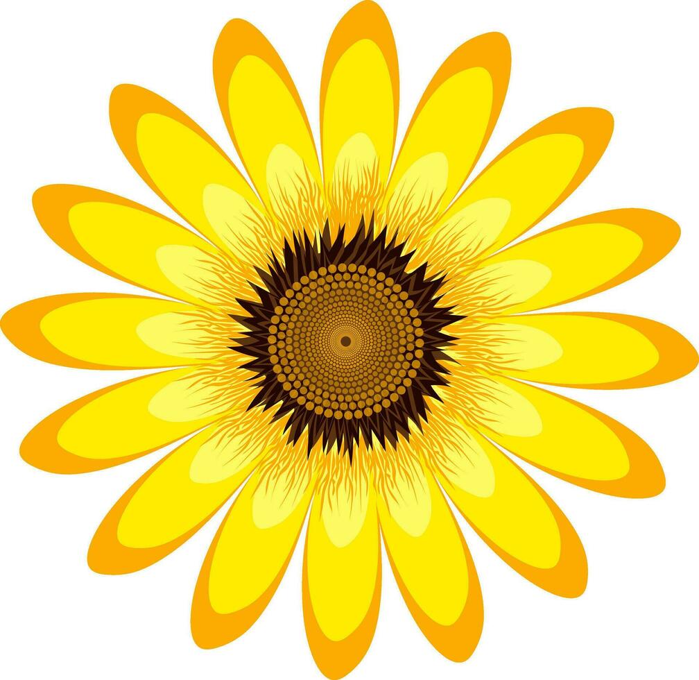 Beautiful abstract yellow sunflower. vector