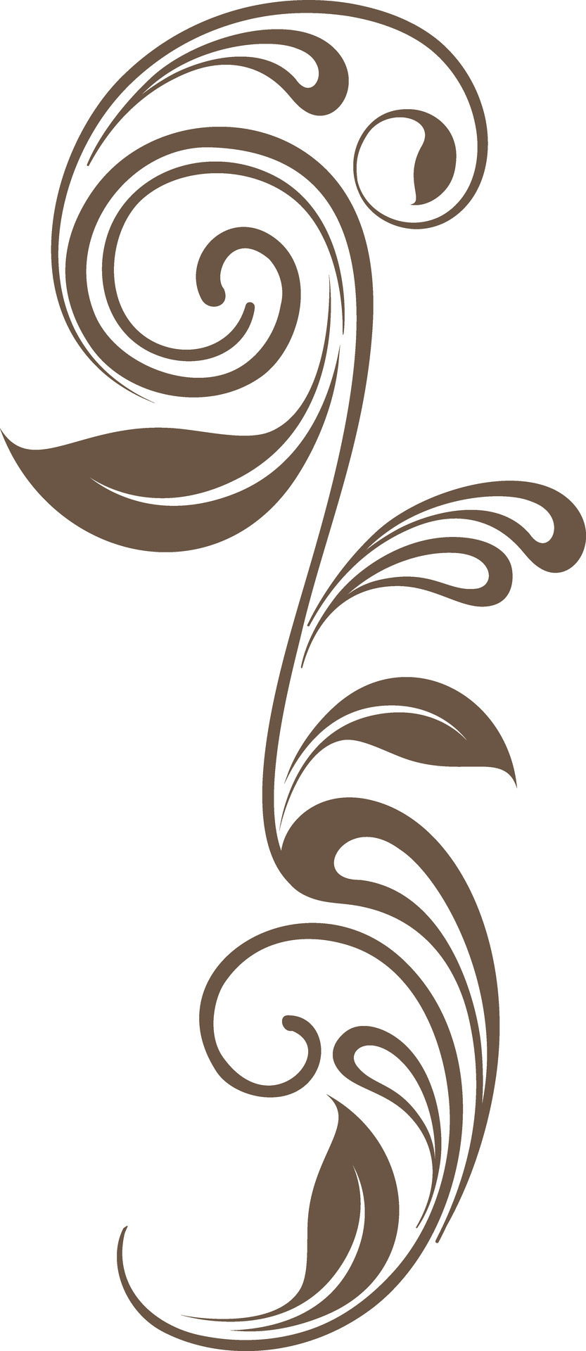 Brown leaves decorated background. 24925586 Vector Art at Vecteezy