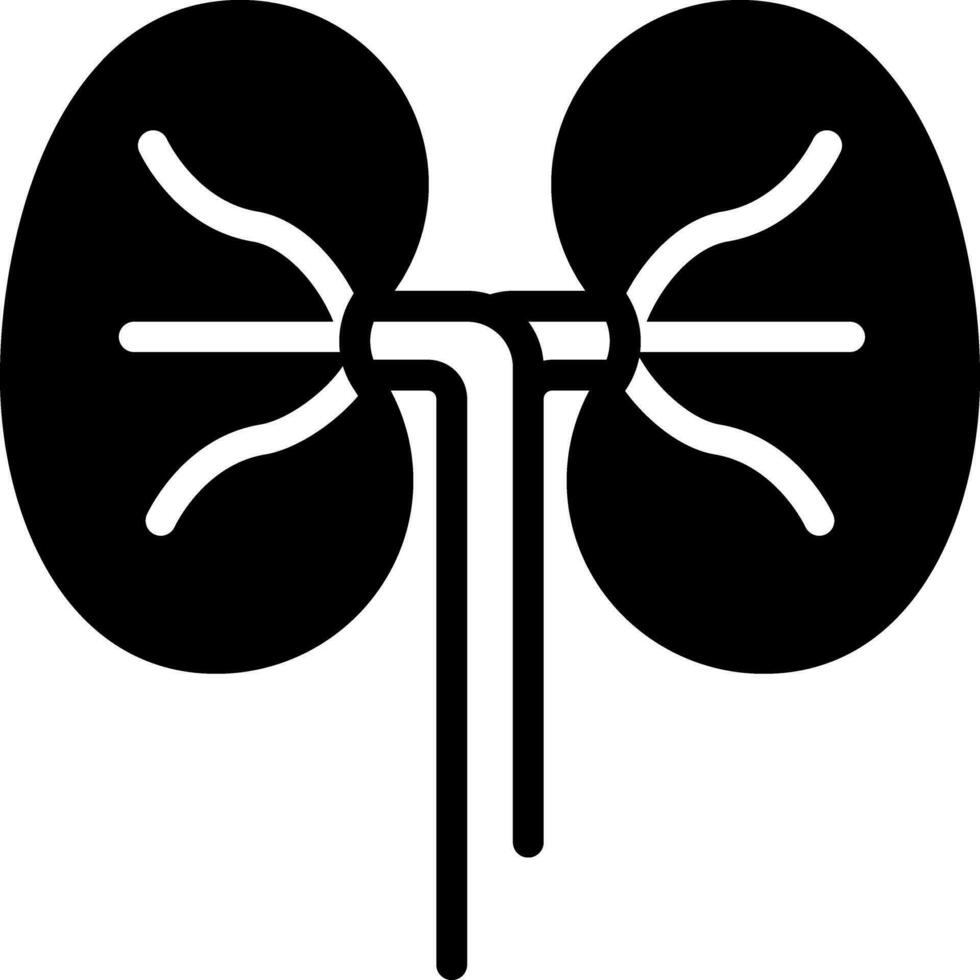 solid icon for kidneys vector