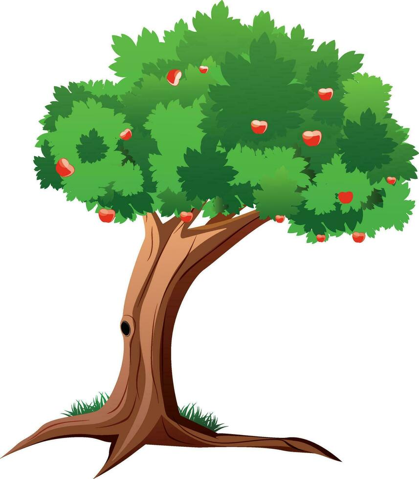 Beautiful glossy green apple tree. vector