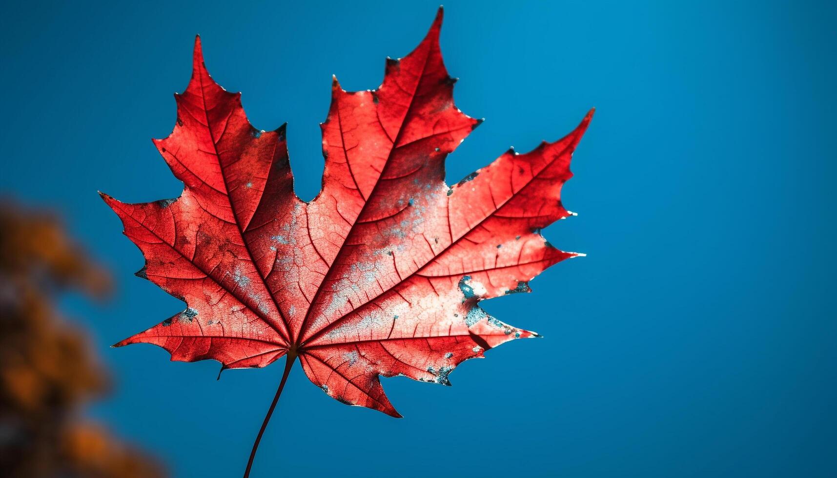 Vibrant autumn maple leaf, symbol of change generated by AI photo