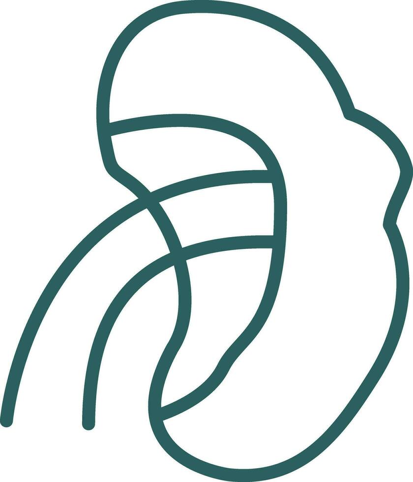 Spleen Vector Icon Design
