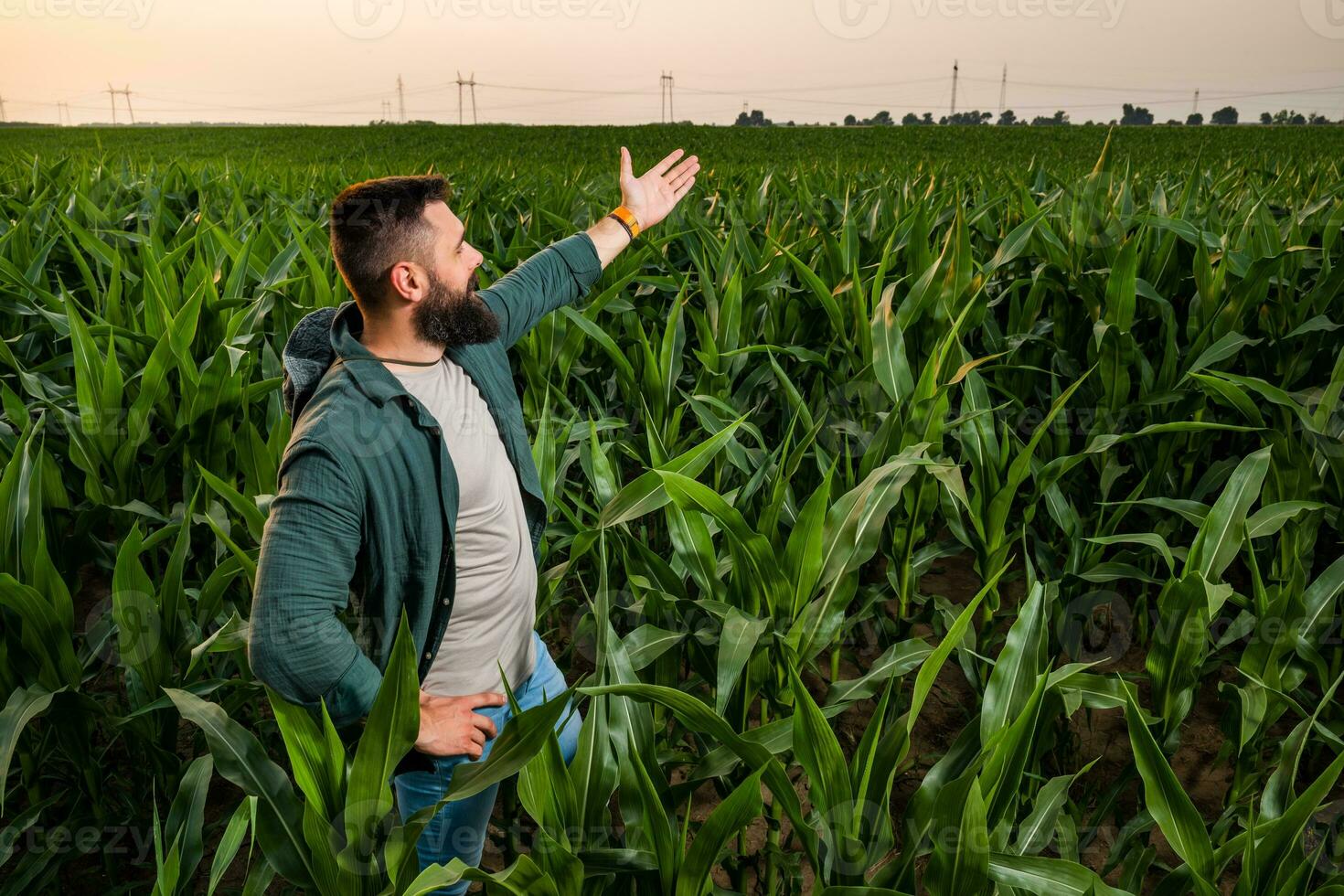 Portrait of farmer who is cultivating corn. He is satisfied with good progress of plants. Agricultural occupation. photo