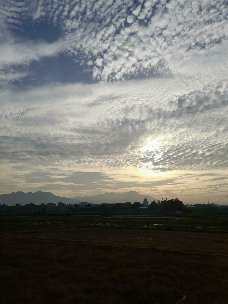 Beautiful view of the sky on the  rice paddy field during sunrise in Lombok Island, Indonesia. Nature composition photo