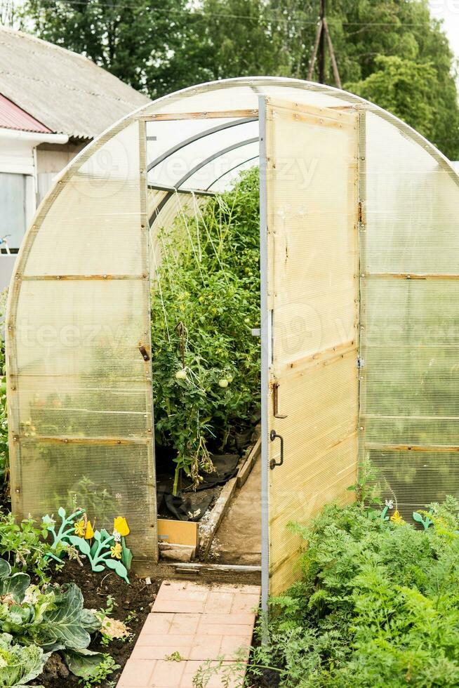 Large greenhouses for growing homemade vegetables. The concept of gardening and life in the country. photo