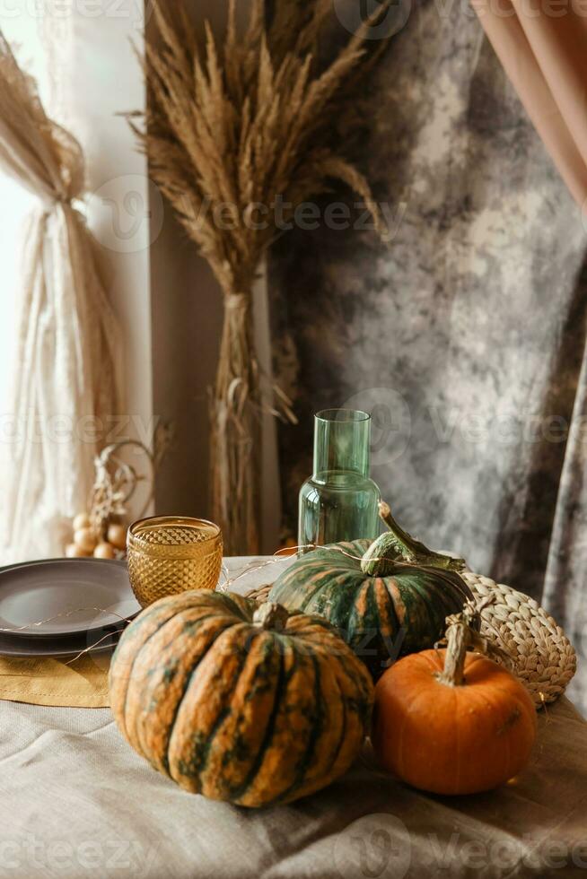 Autumn interior. A table covered with dishes, pumpkins, chair, casual arrangement of Japanese pampas grass. Interior in the photo Studio.