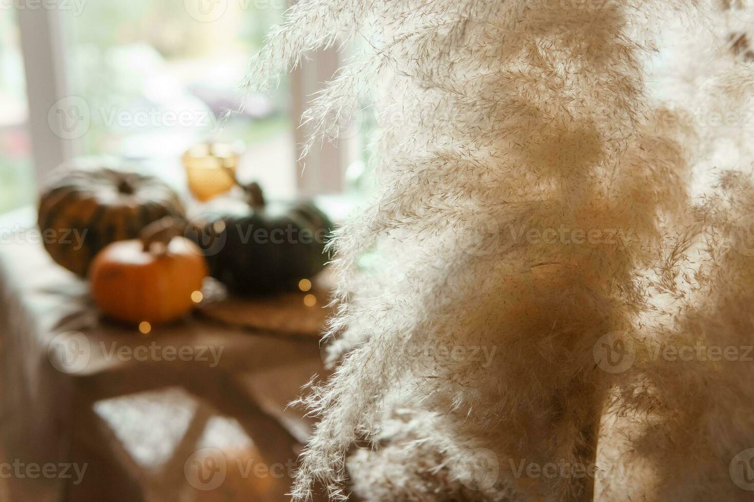 Autumn interior. A table covered with dishes, pumpkins, a relaxed composition of Japanese pampas grass. Interior in the photo Studio. Close - up of a decorated autumn table