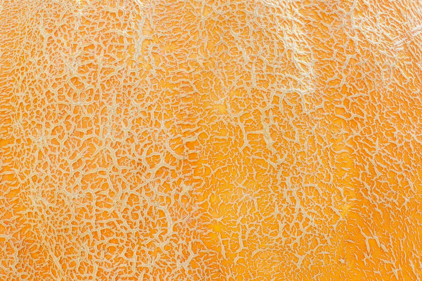 Orange pumpkin skin macro. Abstract Halloween texture background photo