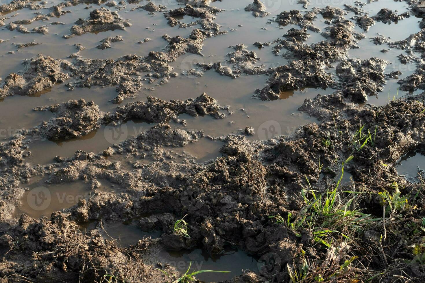 Dirt road after spring rain, close up photo