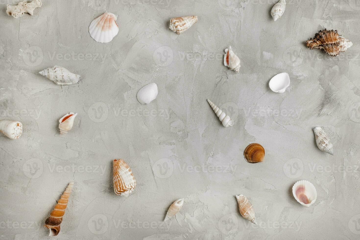 Sea shells pattern on gray background. Abstract sea vacation background. Top view photo