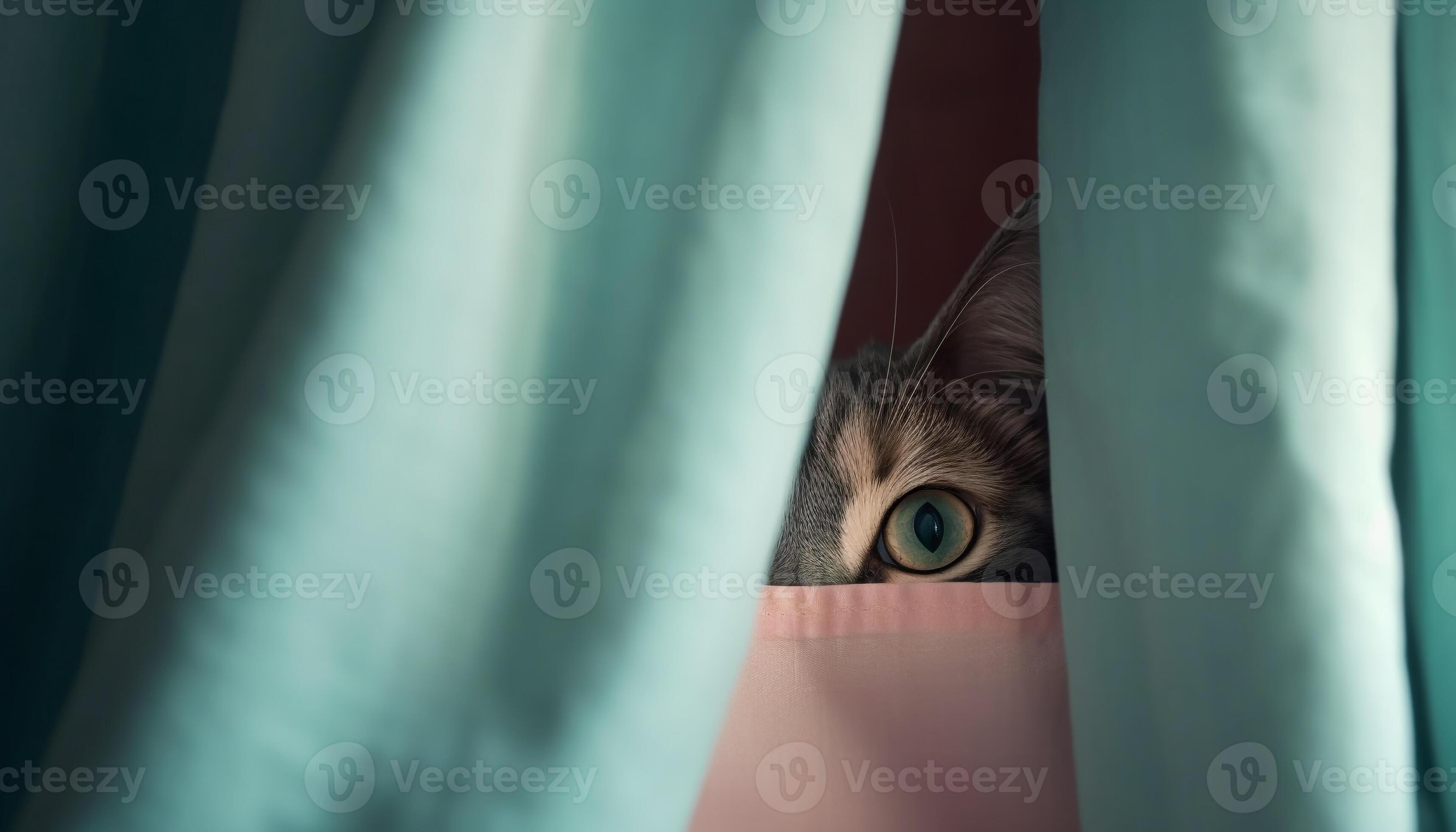 K Bass Onlyfans: Behind The Curtain - rlsvego