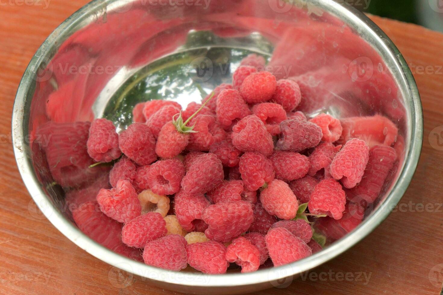 Raspberries collected in the garden lie in a metal bowl. photo