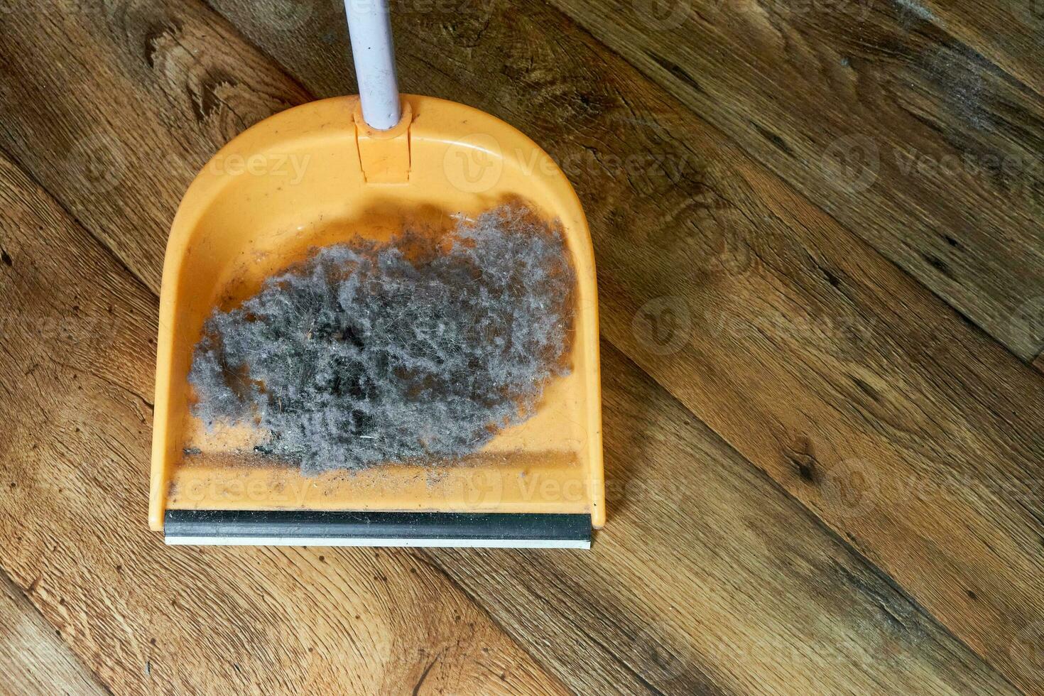 A handful of garbage with hair collected in a dustpan while cleaning the house. photo