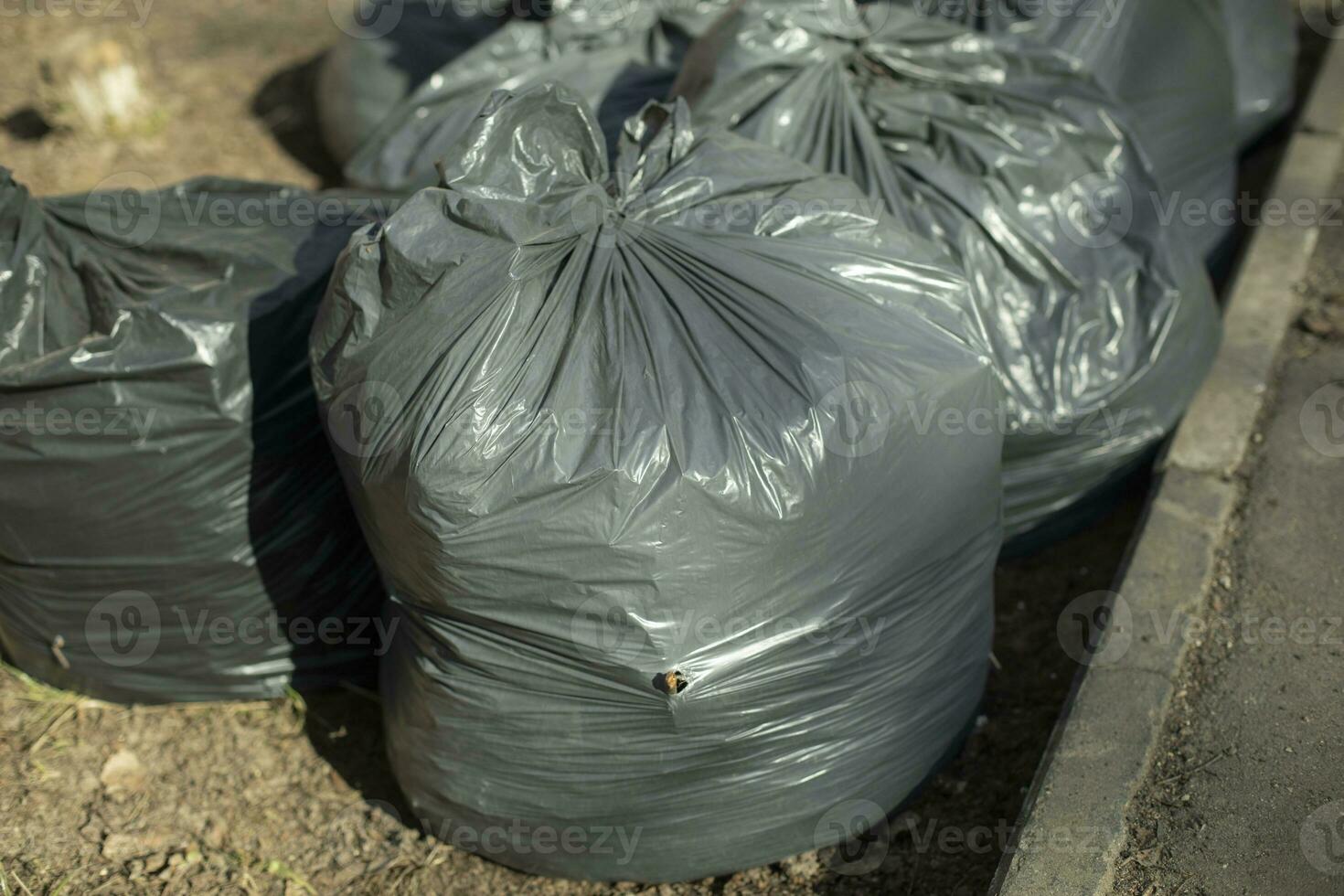 basura. negro el plastico bolsas. recogido basura en patio trasero. foto