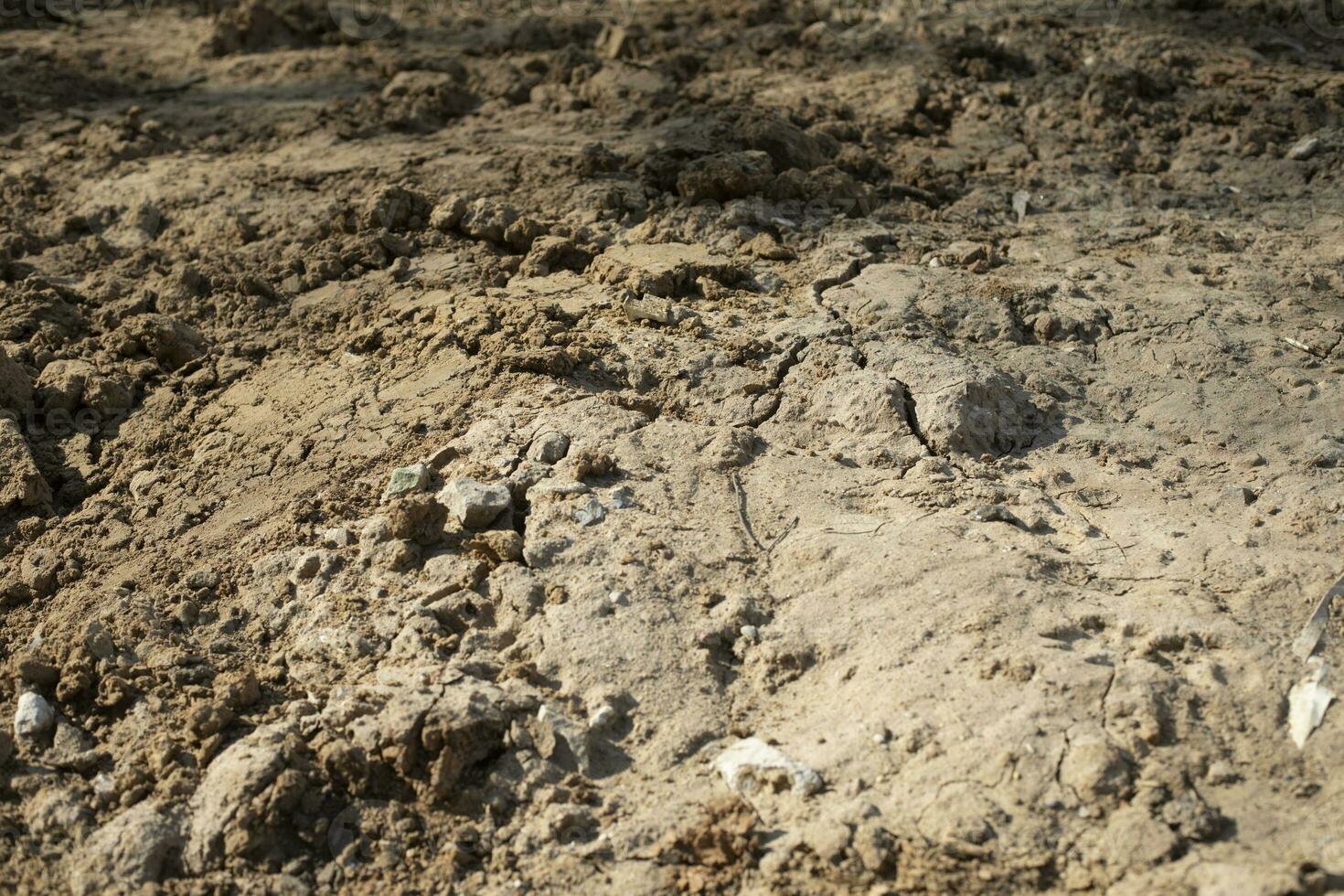 Dry land. Excavated soil. Construction site. photo