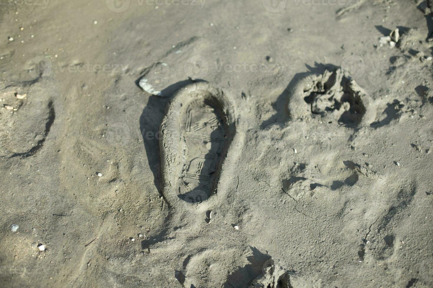 Dirt on road. Traces in mud. Dried puddle. photo