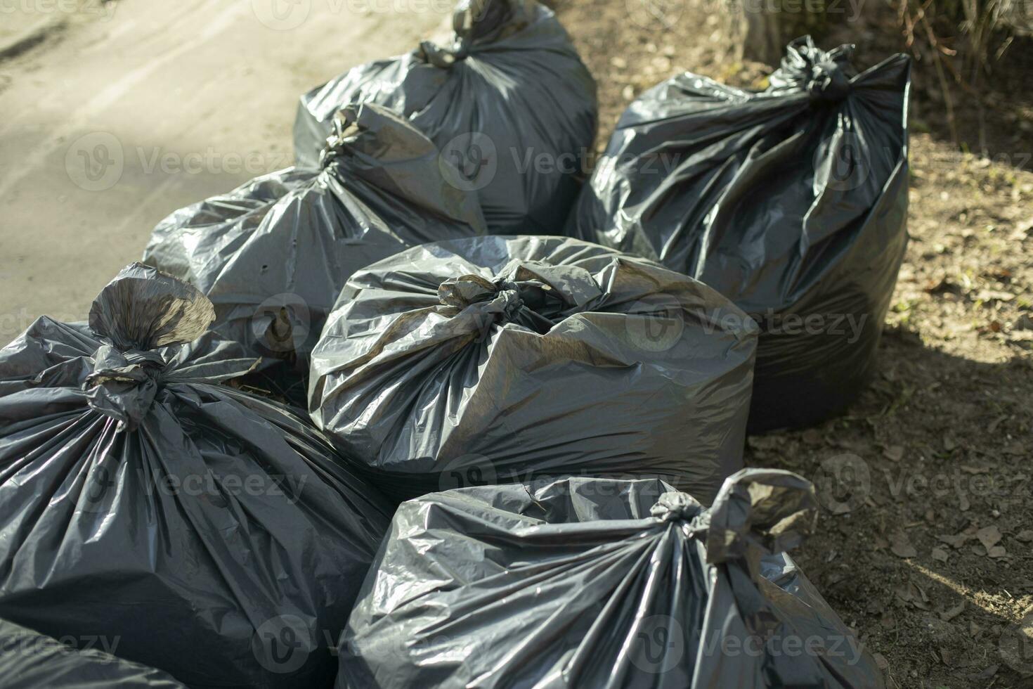 basura. negro el plastico bolsas. recogido basura en patio trasero. foto